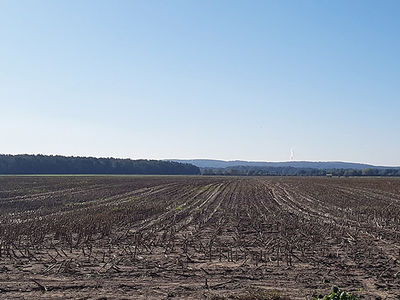 Solarpark Lindenau